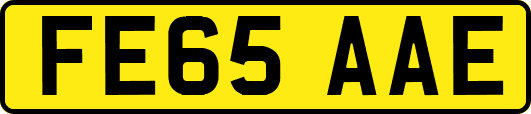 FE65AAE