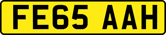 FE65AAH