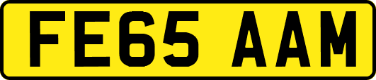FE65AAM