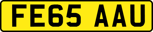 FE65AAU