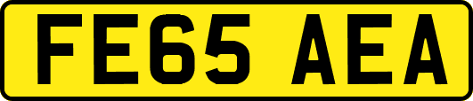FE65AEA