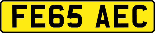 FE65AEC
