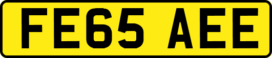 FE65AEE