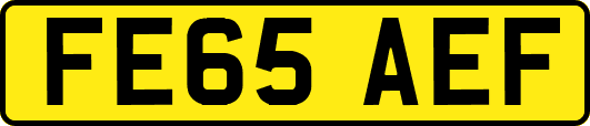 FE65AEF
