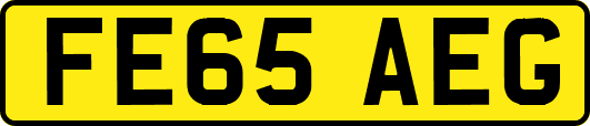 FE65AEG
