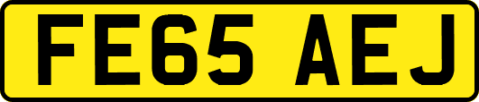 FE65AEJ