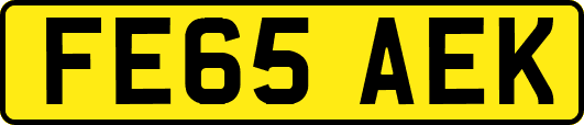 FE65AEK