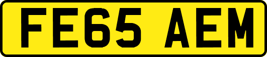 FE65AEM