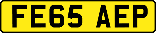 FE65AEP