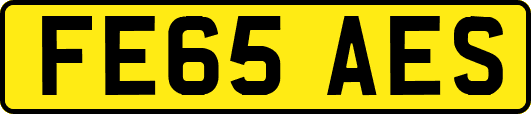 FE65AES