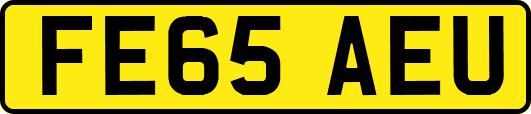 FE65AEU