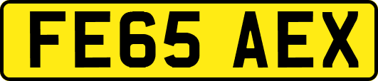 FE65AEX
