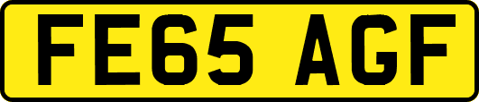 FE65AGF