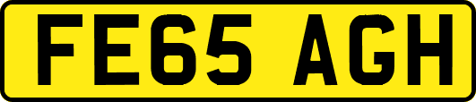 FE65AGH