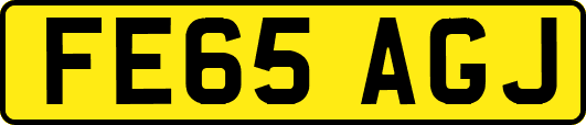 FE65AGJ