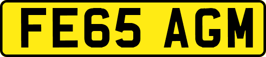 FE65AGM