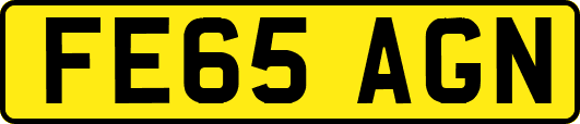 FE65AGN