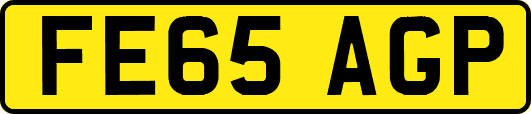 FE65AGP