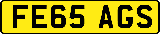 FE65AGS