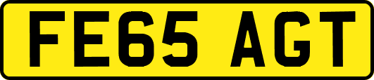 FE65AGT