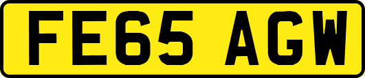 FE65AGW