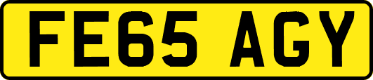 FE65AGY