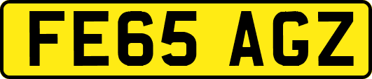 FE65AGZ