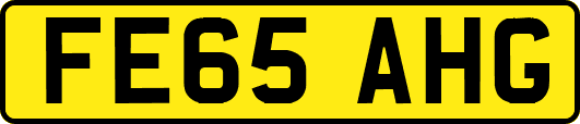 FE65AHG