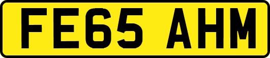FE65AHM
