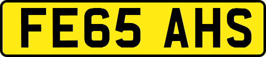 FE65AHS