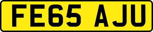 FE65AJU