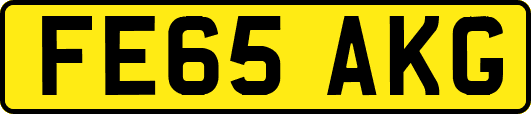 FE65AKG