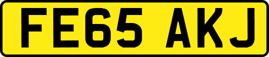 FE65AKJ