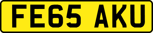 FE65AKU