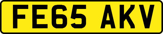 FE65AKV