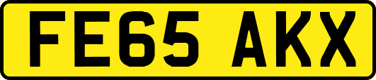 FE65AKX