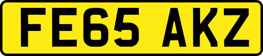 FE65AKZ