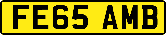 FE65AMB