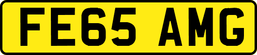 FE65AMG