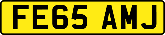 FE65AMJ