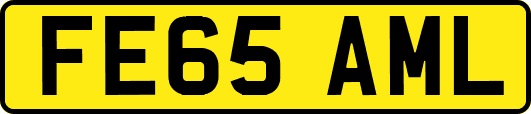 FE65AML