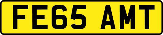 FE65AMT