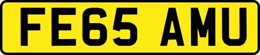 FE65AMU