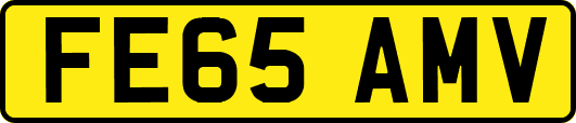 FE65AMV