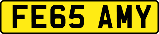 FE65AMY