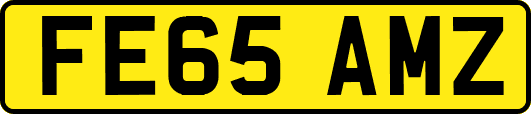 FE65AMZ