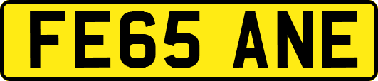 FE65ANE