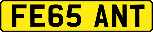 FE65ANT