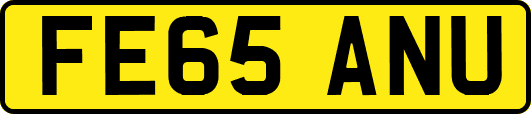 FE65ANU