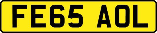 FE65AOL